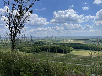 Foto von Ralf Umminger entlang der Tour