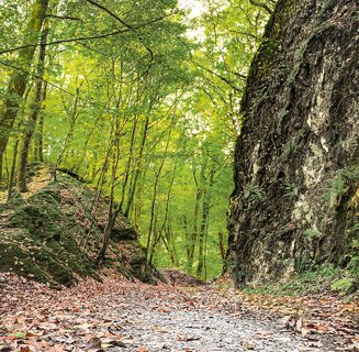Radweg Stille Post, Felsdurchbruch Brölbachtal