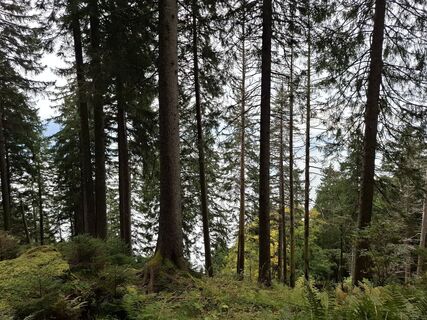 Zdjęcie z Maurer Silvia wzdłuż trasy