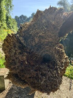 Fotografie z Klaus Neubauer na trase