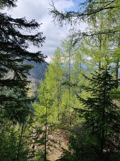 Fotografie de la Anne-Fleur Guitton de-a lungul turului