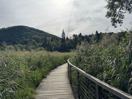 Foto från Simon Porter under resans gång