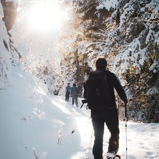 Frauen-Zitaten-Trail