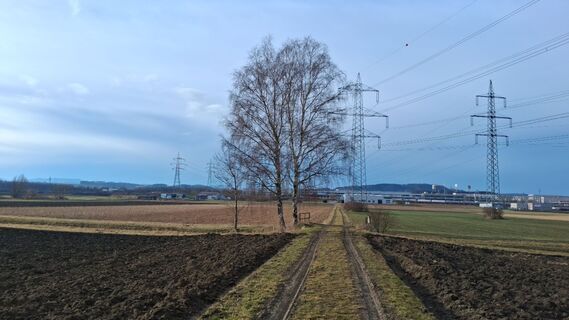 Zdjęcie z Johann Wogritsch wzdłuż trasy