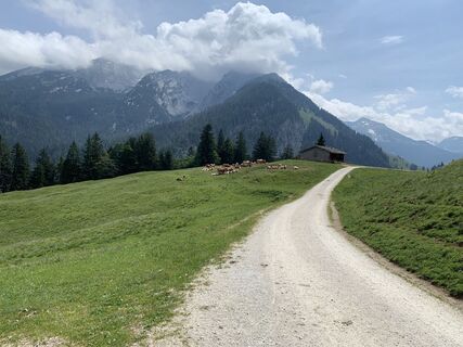 Foto von thschoe entlang der Tour