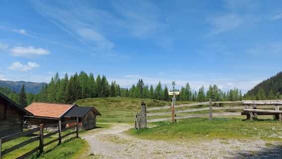 Fotografia z Andschi71 na trase