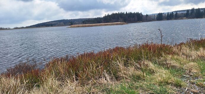 Fotografija s spletne strani Hallunke Frank na poti