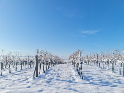 Winterwonderland