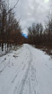 Foto von Regina Fleischmann entlang der Tour
