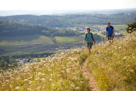 Premiumwandern auf dem Panoramaweg Perl