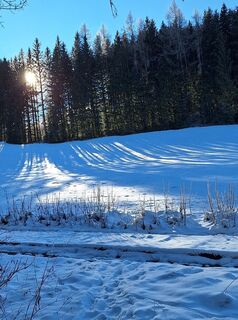 Zdjęcie z Mimi wzdłuż trasy