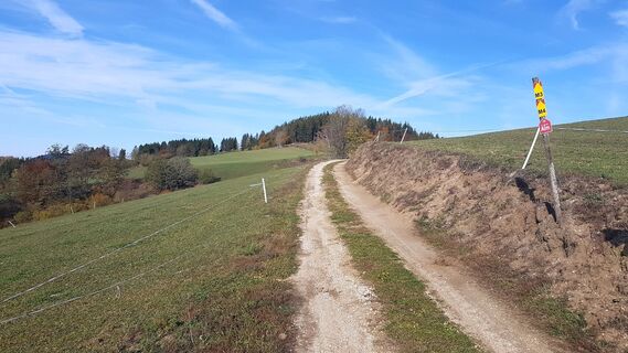 Schlag / Bauernhof Holzmann