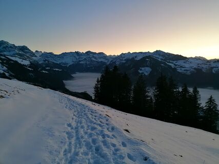 Photo de luyyy le long du parcours