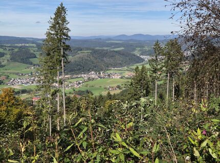 Photo de Hans Maier 2 le long du parcours
