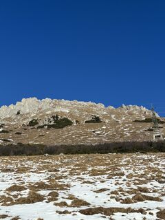 Foto von Gizmo 81 entlang der Tour