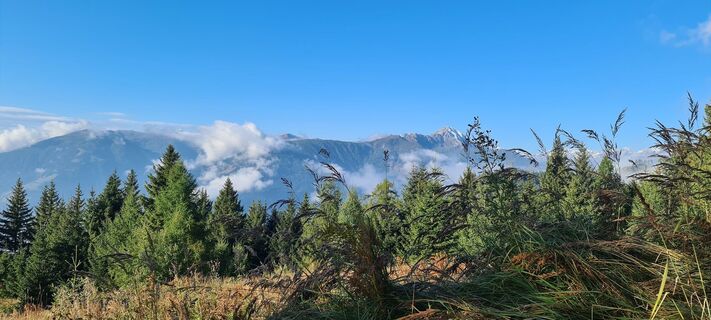 Foto fra Martina Oitzinger underveis på turen