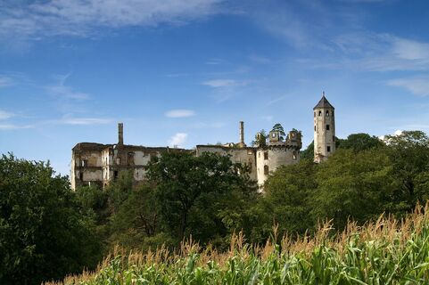Burgruine Hohenegg