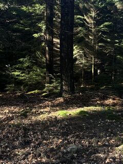 Photo de Gabrielle De Brabanter le long du parcours