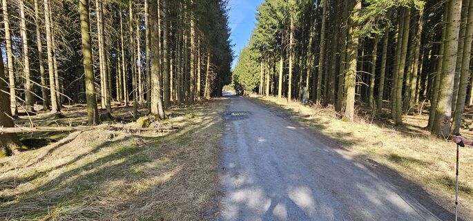 Fotografie z Michael Ganswind na trase