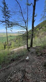 Foto von Maja Mariann Nagy entlang der Tour