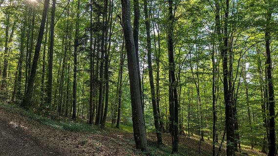Zdjęcie z Edda62 wzdłuż trasy