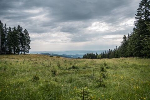 Aussicht