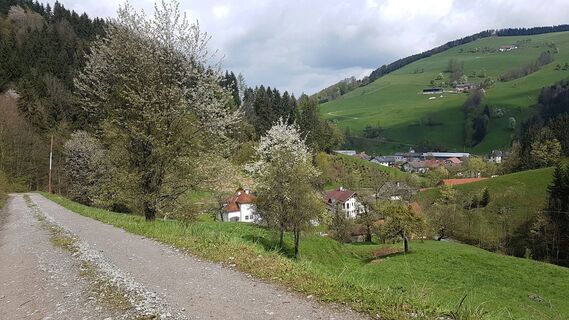 Hausmann im Kleinramingtal