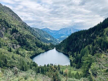 Hochwildstelle, (2747m)
