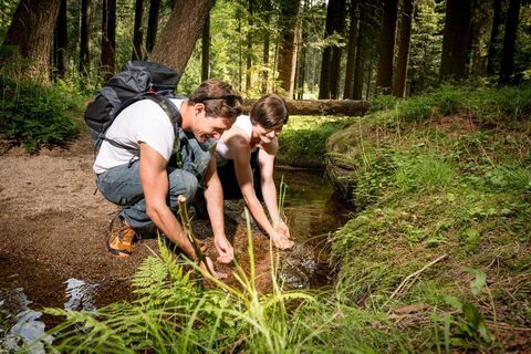 Wandern im Waldviertel
