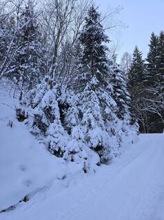 Foto de Sigrid Böhm a lo largo del recorrido