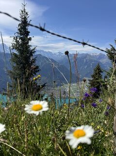 Foto von mountain hunter entlang der Tour