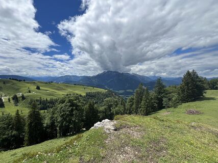 Fotografija s spletne strani F. Frauendorf-Kopbauer na poti
