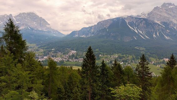 Fotografia z István Gábor 1 na trase