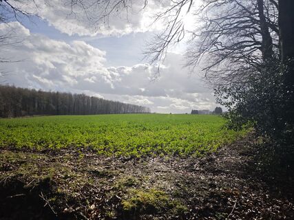 Fotografija s spletne strani Björn Heun na poti