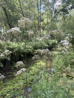 Foto von Babita entlang der Tour