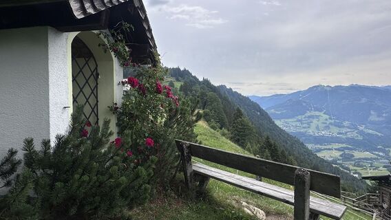 Foto von Mountain Cat ? ⛰️ entlang der Tour