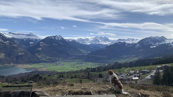 Foto von Andreas Roller entlang der Tour