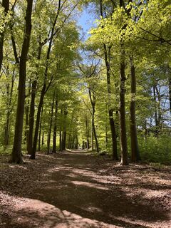Foto de Mvrijsingen a lo largo del recorrido