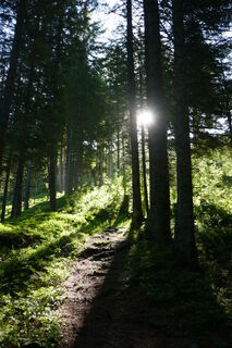 die ersten Sonnenstrahlen