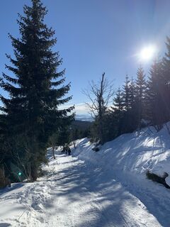 Fotografia z Stefan Lehner 2 na trase