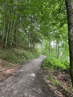 Foto von Denise Miller entlang der Tour