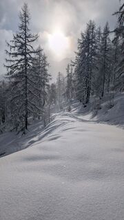 Foto von LXT entlang der Tour