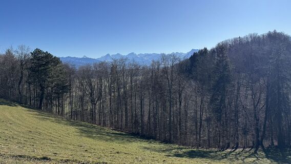 Foto von peter_oe entlang der Tour