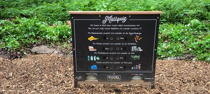Quiztafel im Waibstadter Mühlbergwald