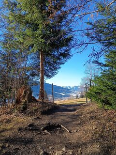 Fotografie z Bettina Miller 1 na trase