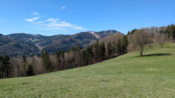 Fotografie z chrim na trase