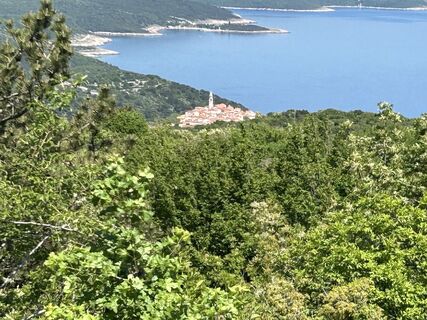 Zdjęcie z Hwidmoser wzdłuż trasy