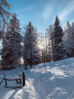 Foto von Michael Kogler entlang der Tour