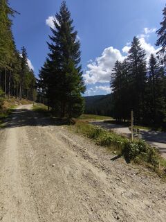 Fotografija s spletne strani Wolfgang na poti