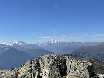 Foto von ceiby entlang der Tour
